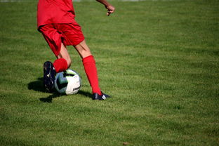 米兰体育正版平台-基层足球赛事体系未形成闭环,足球联赛实施方案 第2张 米兰体育正版平台-基层足球赛事体系未形成闭环,足球联赛实施方案 第2张